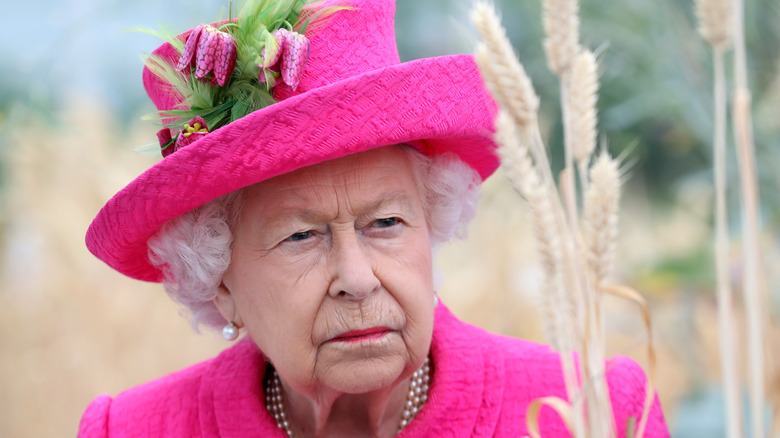 Queen Elizabeth pink hat