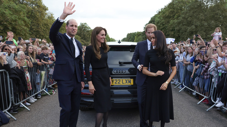 The Sussexes and the Waleses