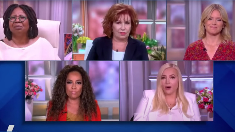 Meghan McCain shares her opinion on The View