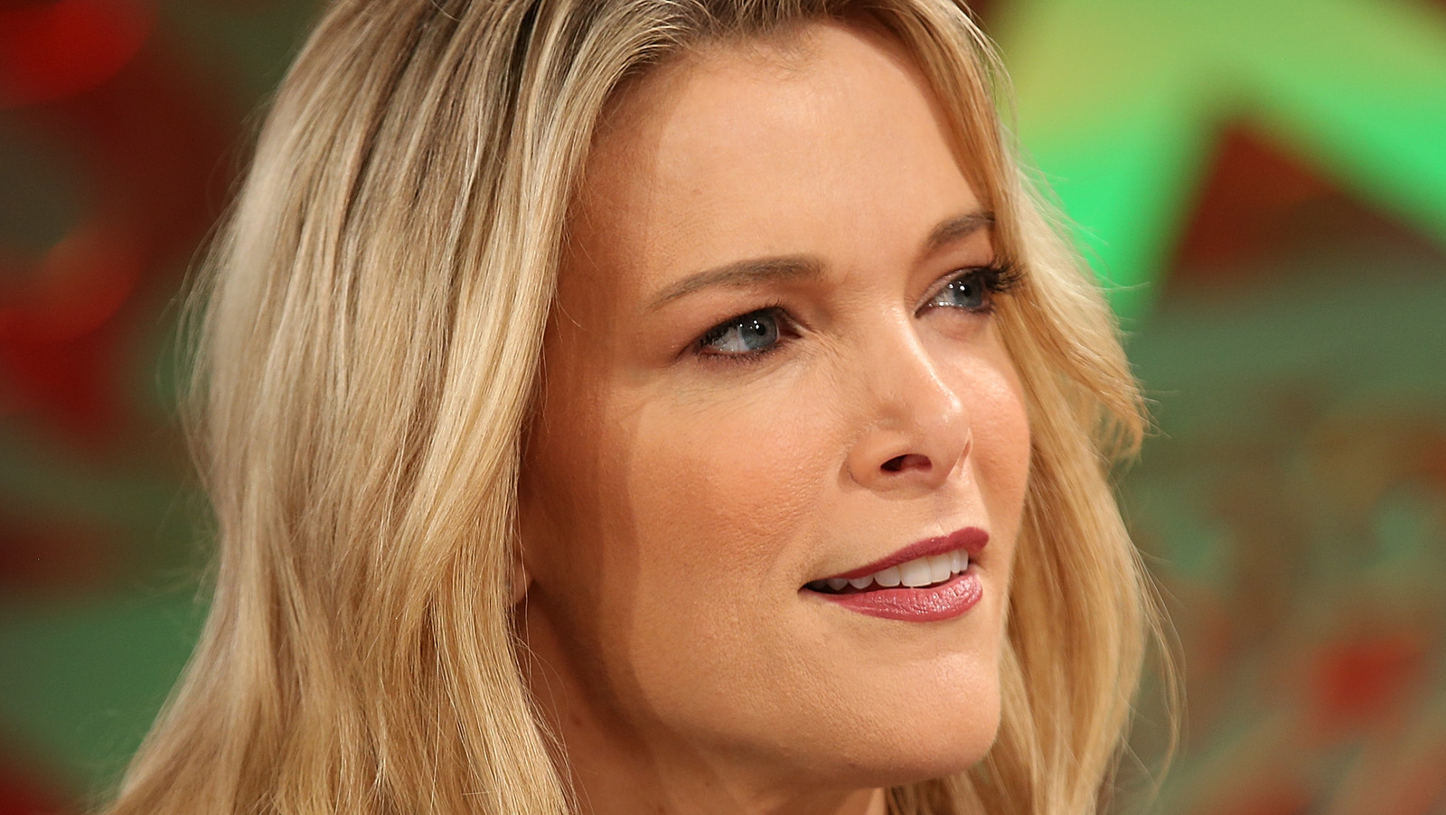 Megyn Kelly Makes A Bold Accusation Following The Attack On Paul Pelosi 9533