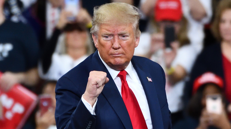 Donald Trump raising his fist at a rally