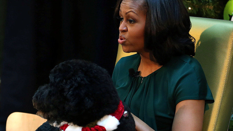 Barack Obama greets Bo the Dog