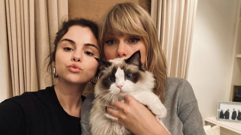 Selena Gomez, Taylor Swift, cat selfie