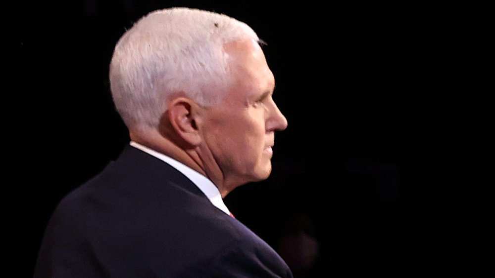 Mike Pence Breaks His Silence On The Debates Famous Fly
