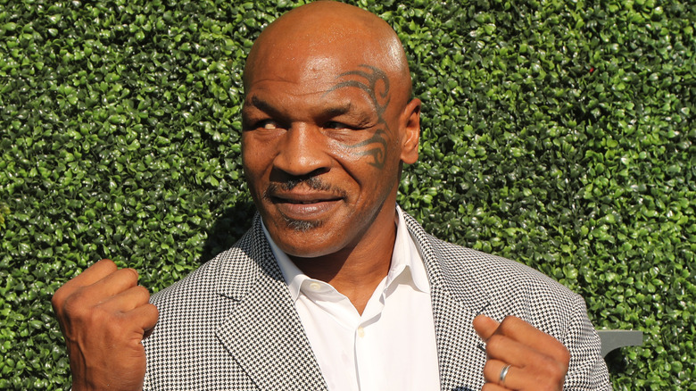 Mike Tyson poses 