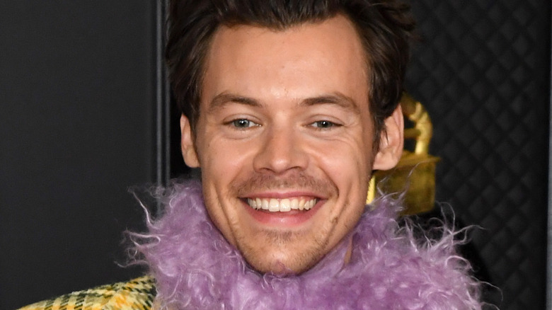 Harry Styles wearing a purple boa
