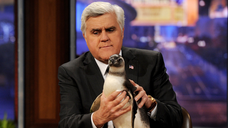 Jay Leno holding a penguin 