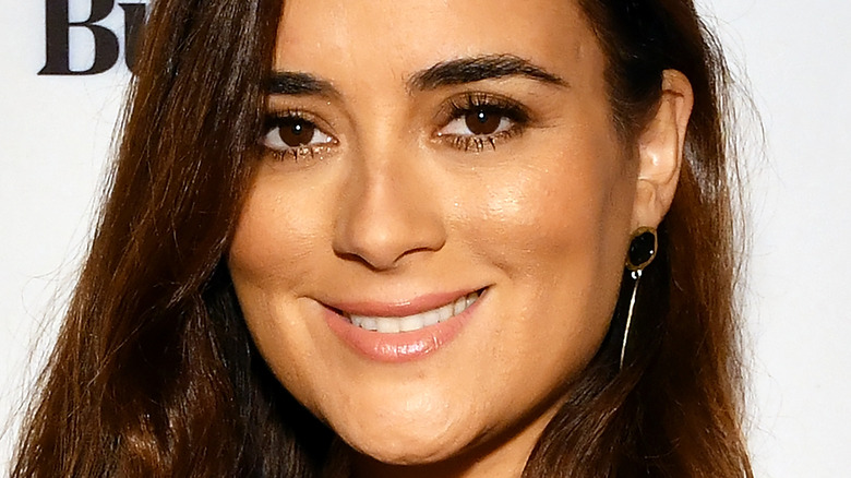 Cote de Pablo smiles on the red carpet