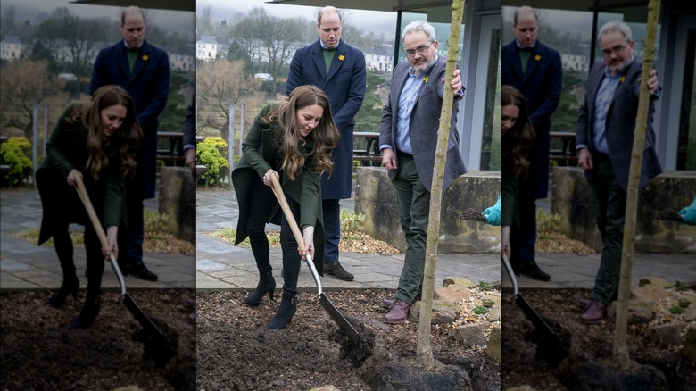 Kate Middleton planting tree