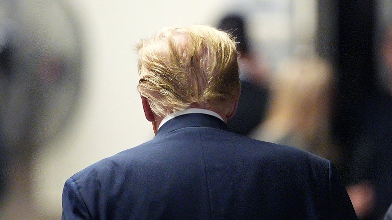 New Shot Of Trump's Famous Hair From Behind Won't Help Chatter About ...