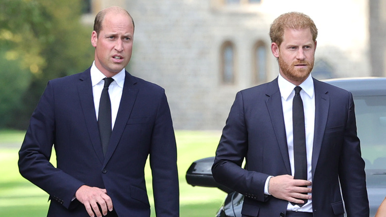 Prince William and Prince Harry at Queen Elizabeth tributes
