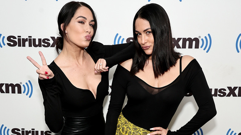 Brie and Nikki Bella pose together