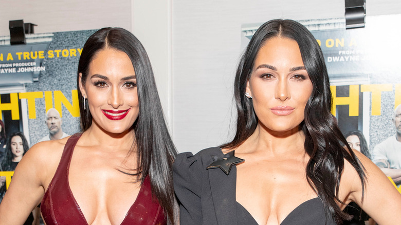 Nikki Bella Is In Hot Water With Fans. Here's Why