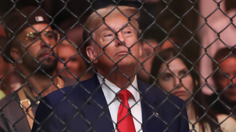 Donald Trump behind a fence