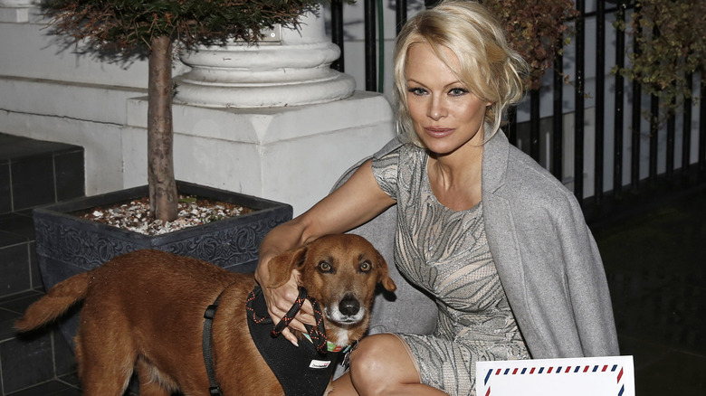 Pamela Anderson kneels and poses with a dog