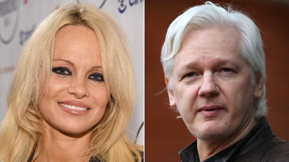 Pamela Anderson, Julian Assange