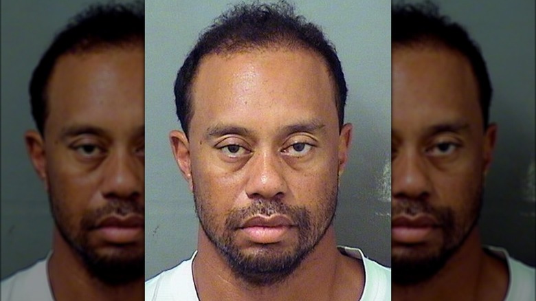 Tiger Woods' mugshot