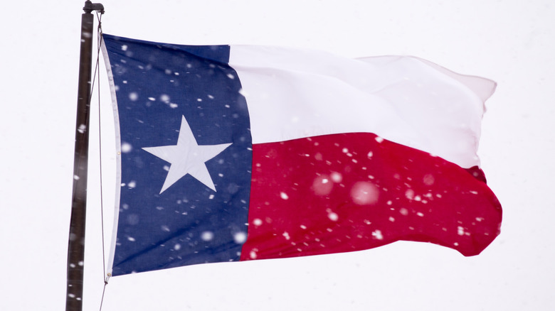 Texas flag in snow