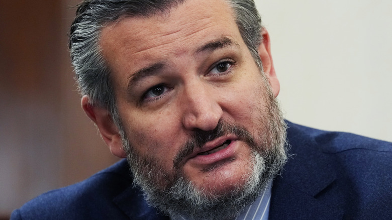 Ted Cruz with a bushy beard 