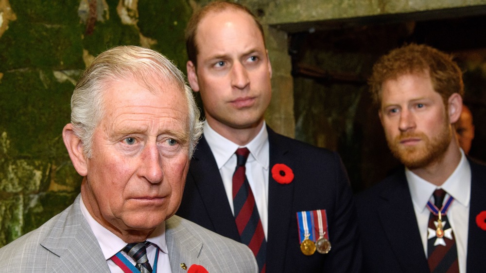 Prince Charles, Prince William, Prince Harry staring