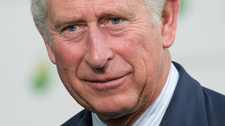 Prince Charles with slight smile