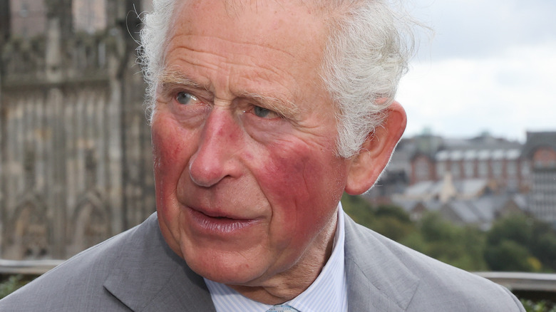 Prince Charles looking to the side with serious expression
