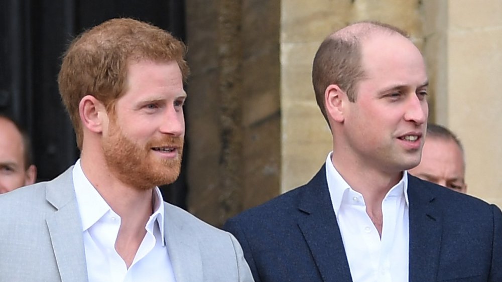 Prince Harry and Prince William