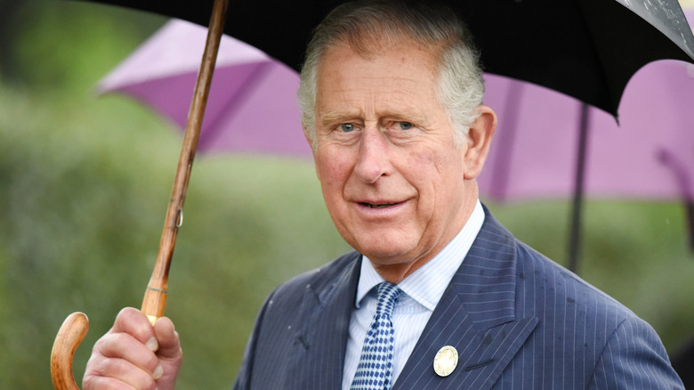 Prince Charles umbrella