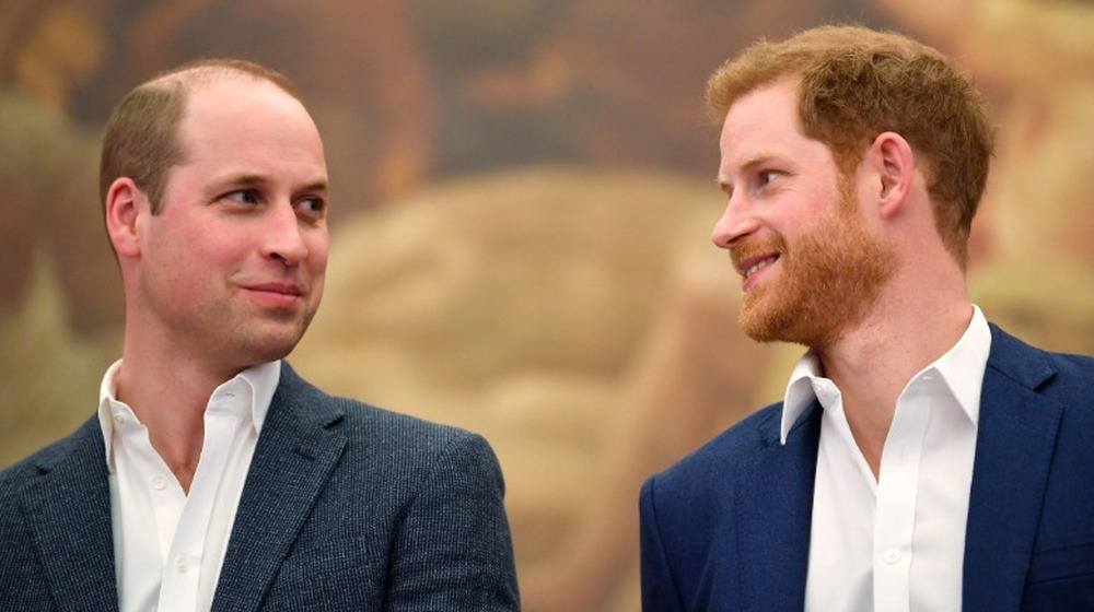 Prince William and Prince Harry