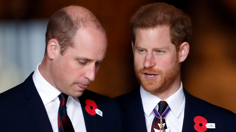 Prince William and Prince Harry speaking 
