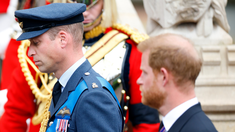 Prince William and Prince Harry in profile