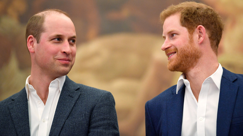 Prince William and Prince Harry