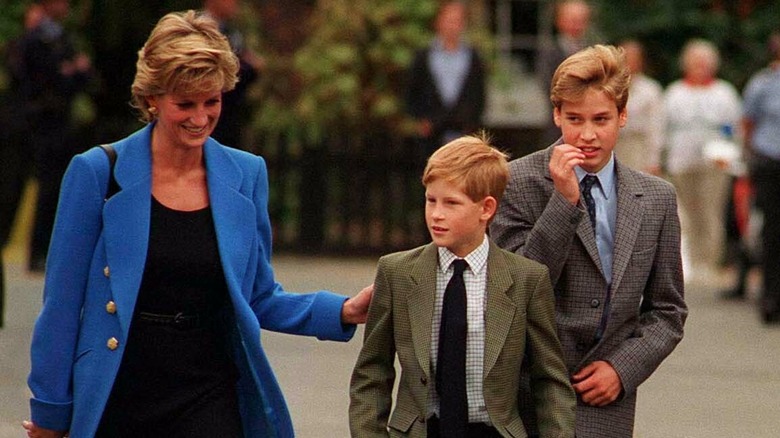 Princess Diana sons