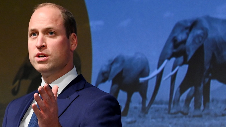 Prince William at the Tusk Conservation Awards.