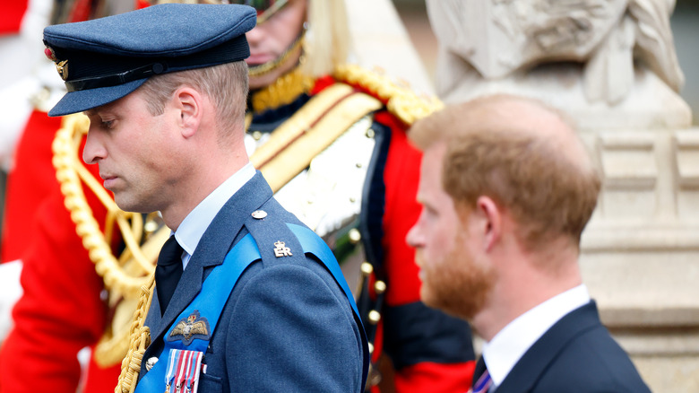 Prince William and Prince Harry profile