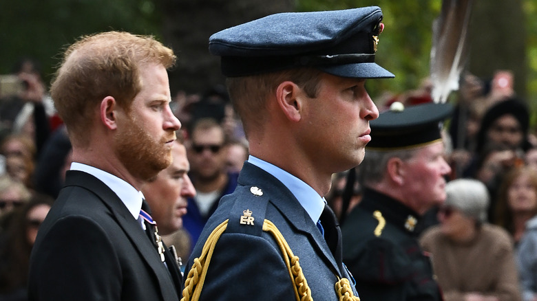 William and Harry at funeral