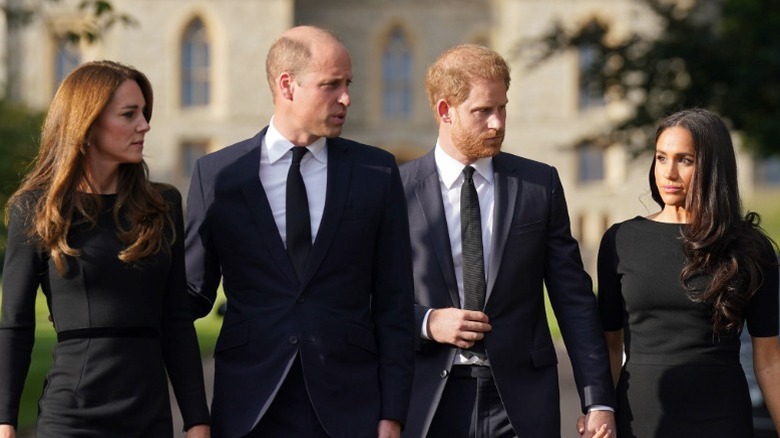 Kate Middleton, Prince William, Prince Harry, and Meghan Markle attend the funeral for Queen Elizabeth (2022)