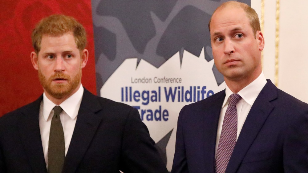 Prince Harry and Prince William staring