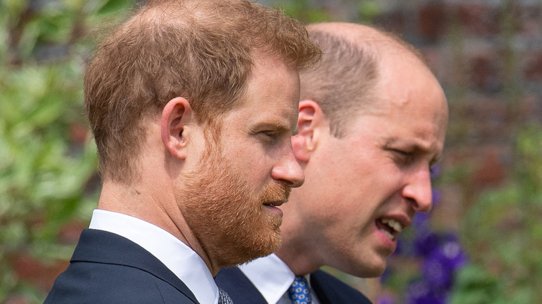 Prince Harry and Prince William at Diana Statue unveiling 