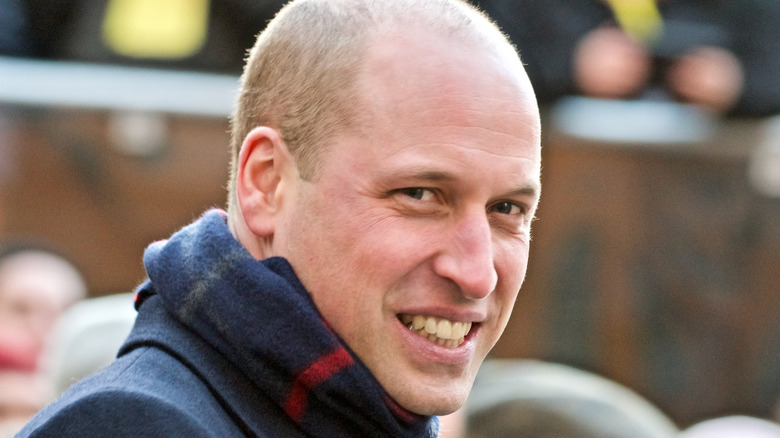 Smiling Prince William side profile