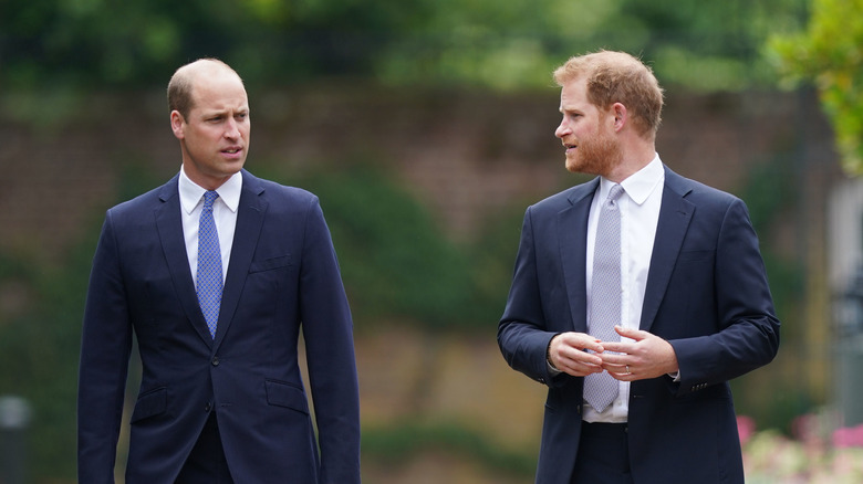 Prince William and Prince Harry talking