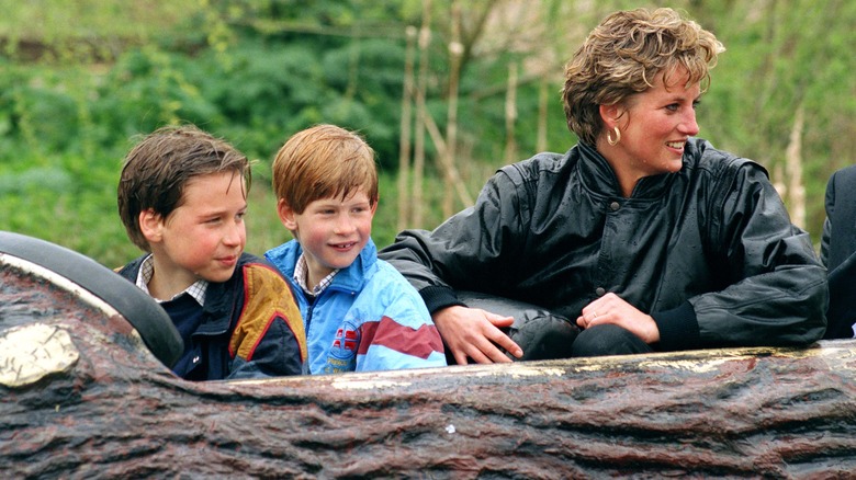 Prince William, Prince Harry, and Princess Diana on amusement park ride