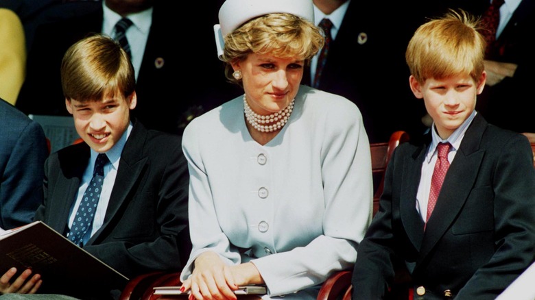 Prince William, Princess Diana, and Prince Harry