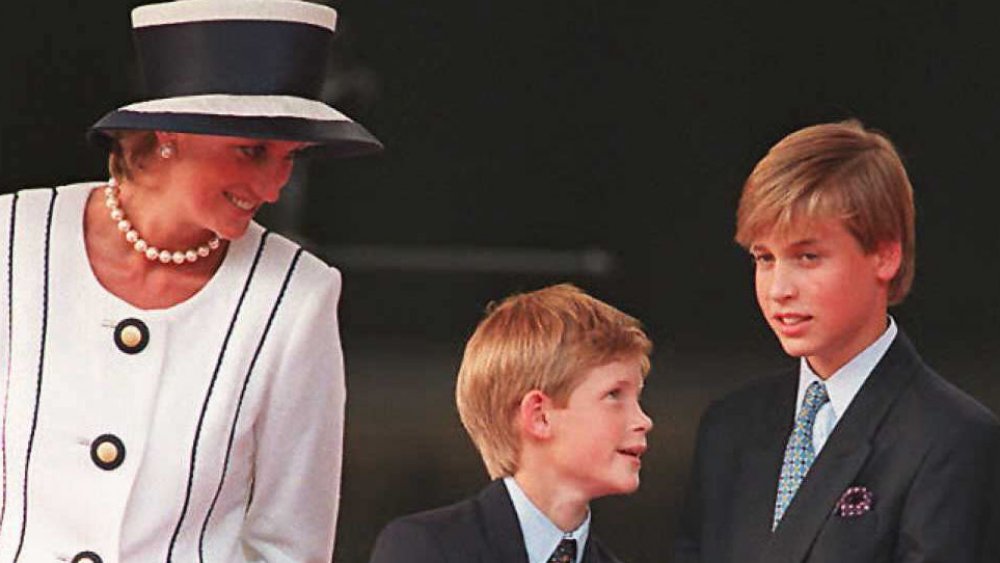 Princess Diana, Prince Harry, and Prince William