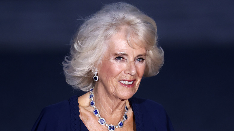 Queen Camilla smiling and wearing pink blusher