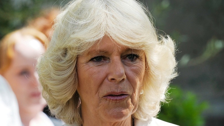 Queen Camilla wearing pink lipstick with a serious facial expression