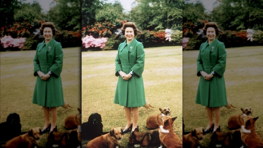 Queen Elizabeth II and her corgis