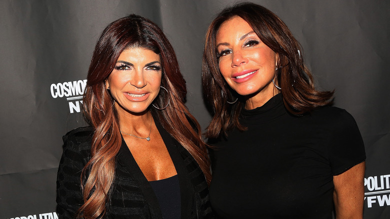 Teresa Giudice and Danielle Staub posing