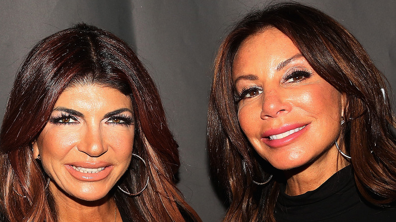 Teresa Giudice and Danielle Staub smiling