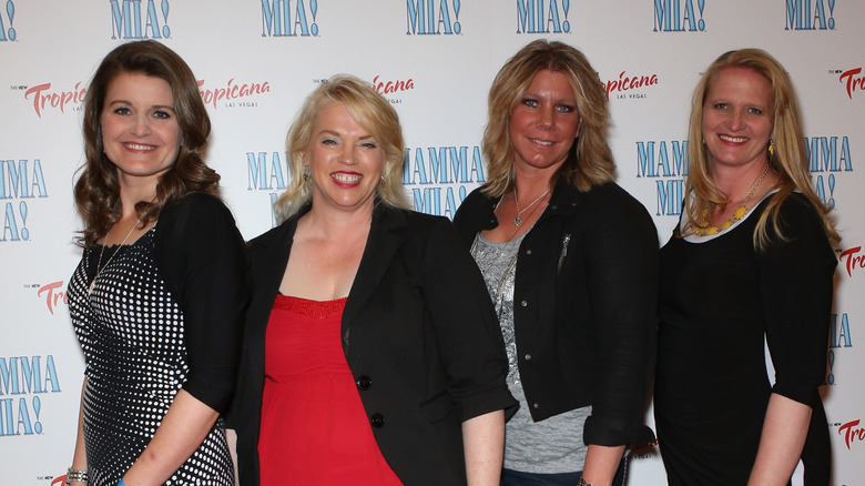 The women of Sister Wives posing for a photo